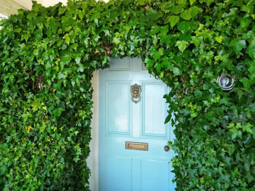 Sandhill House Bed and Breakfast Country Retreat - Image 1