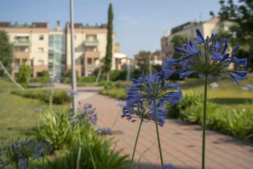 Rosmini Serbati - Image 1