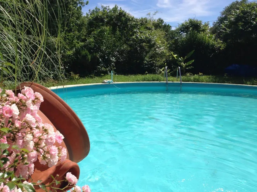 Gård omgivet af natur (6-8 personer) med udsigt, park og privat pool - Image 1