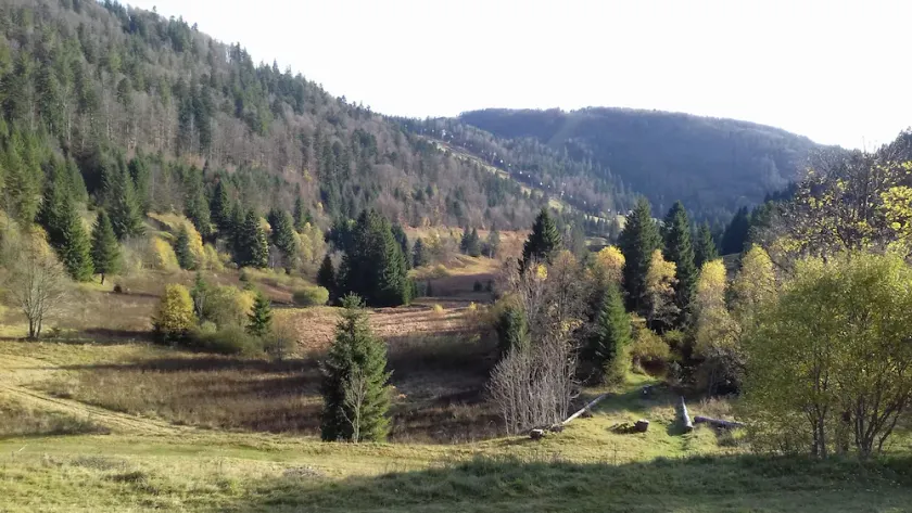 Panoramablick Wohnung an den Hängen von Labresse und La Tourbière - Image 1