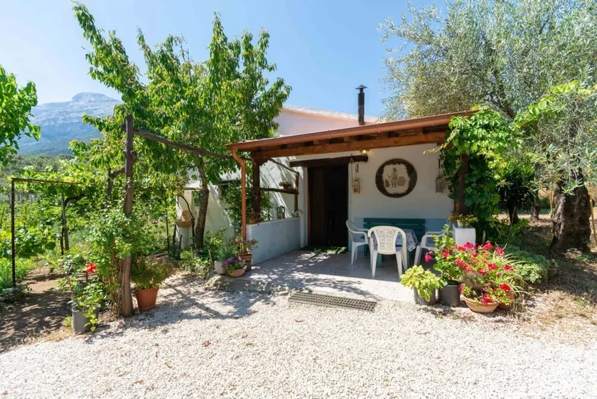 Villa L'Oliveto - Image 1