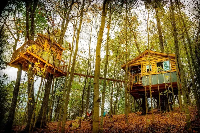 Schönes Baumhaus! ~ \"The Aliyah\" Mit Brücke und Kuschelpalast! Plus wandern - Image 1
