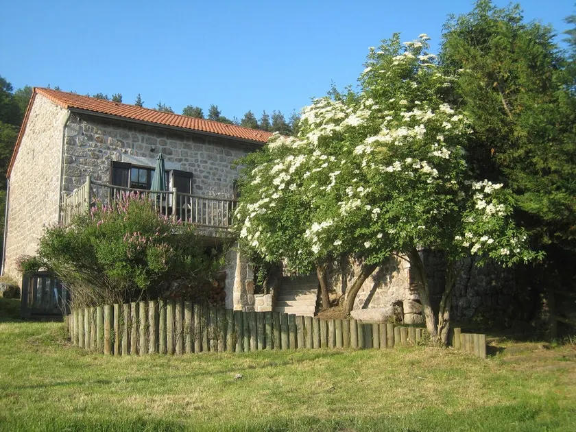 Vicino al lago Naussac - Image 1