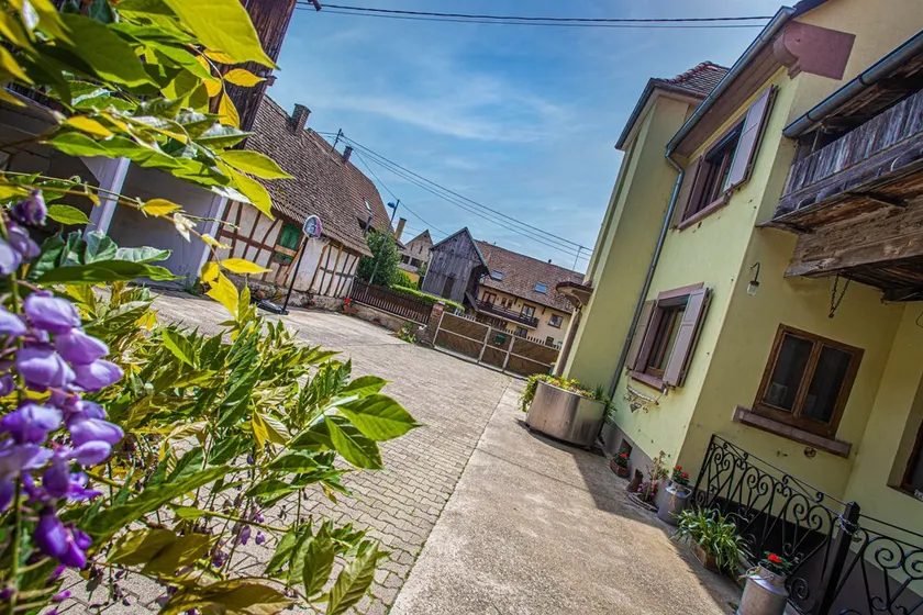 Grand Gîte Jusqu'à 14 Personnes Prox Europapark - Image 1