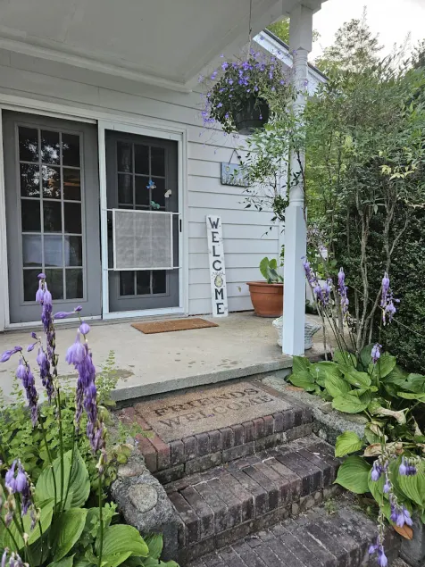 Offer discounts!  Dog friendly Country home sitting between 2 mountains - Image 1