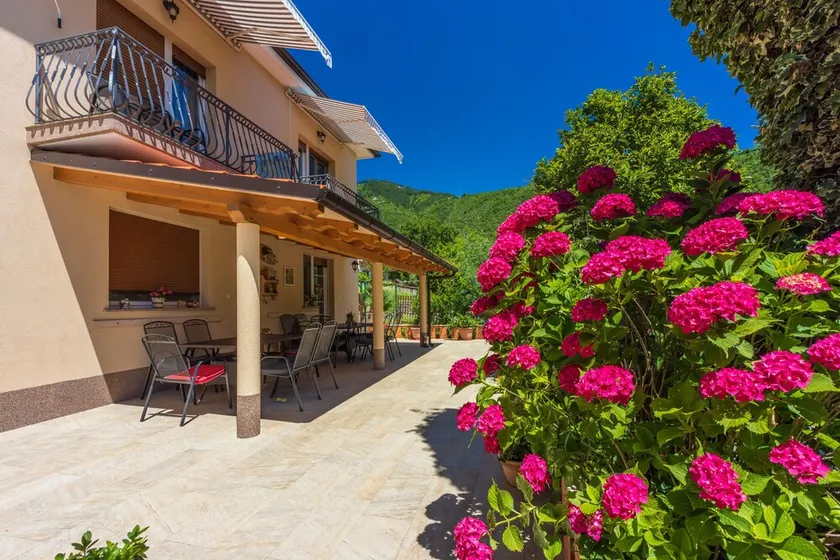 Apartments Branka - Image 1