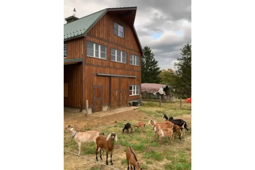 Valley View Farm Retreat - Image 1