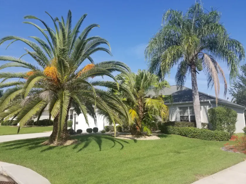 Palm Paradise  - Great Location with a Courtesy Golf Cart - Image 1