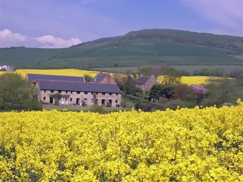 Delightful country cottage. Stunning views.  A few minutes walk to Seatown beach - Image 1