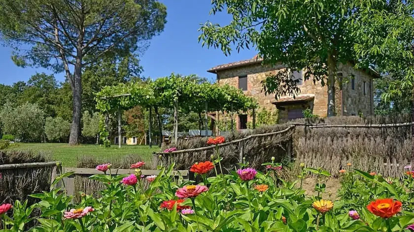 Idyllic Tuscan Villa w/ Private Pool Near Arezzo, Siena and Historical Lucignano - Image 1