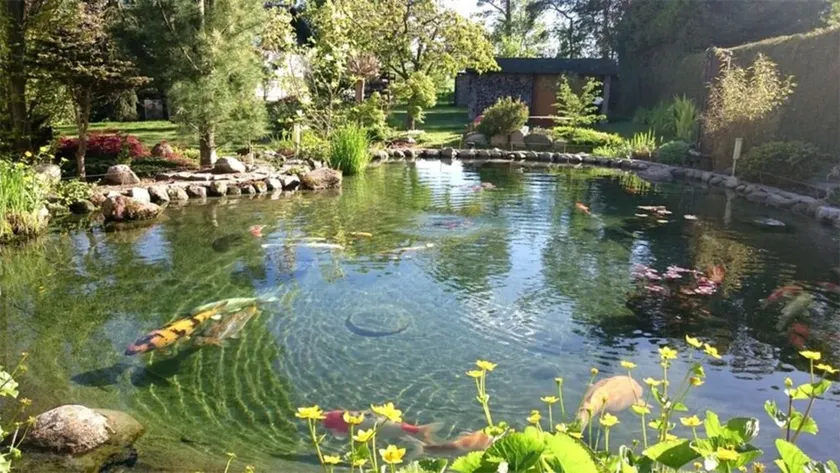 Ferienhaus in reizvoller und traumhafter Lage am Plauer See für 4 Personen - Image 1