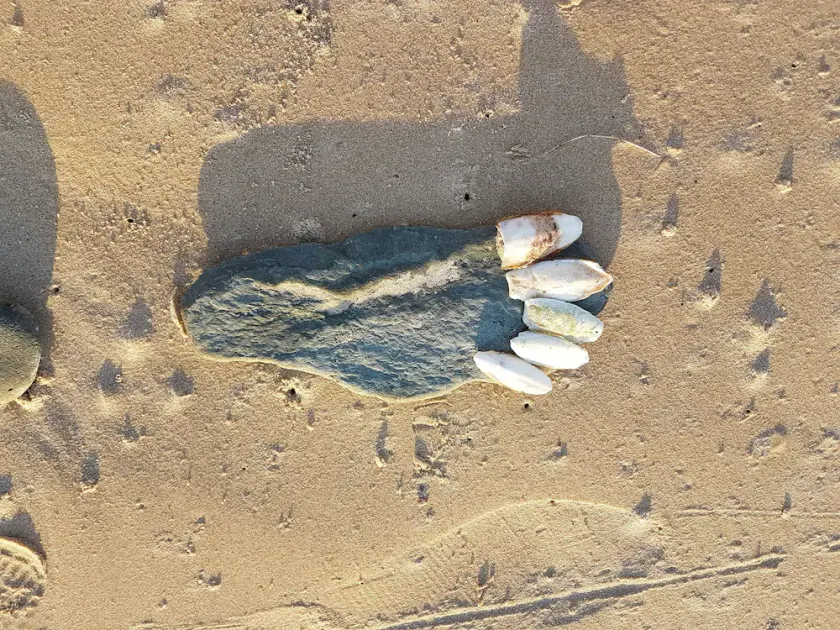 il fascino della Normandia tra mare e campagna - Image 1