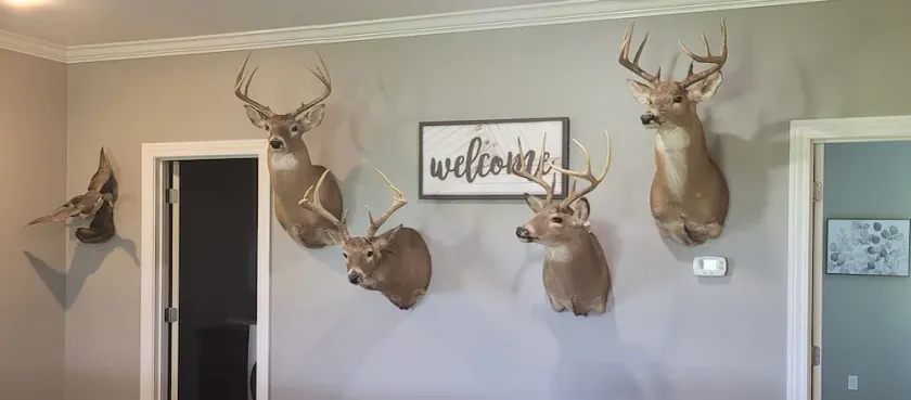 Country home getaway; great for nature lovers! - Image 1
