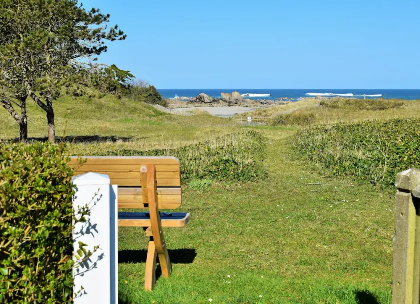 House on the dune, direct access to the beach (100m)  and sea view - Image 1