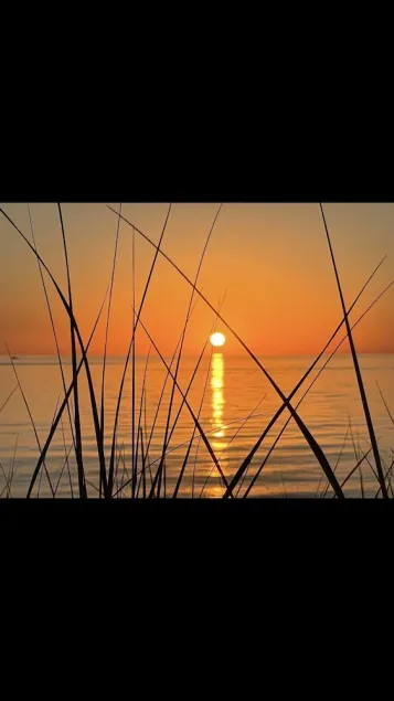 Ihr privater Strand. Die Wochen sind schnell ausgebucht, buchen Sie jetzt Ihren Lake Michigan Urlaub! - Image 1
