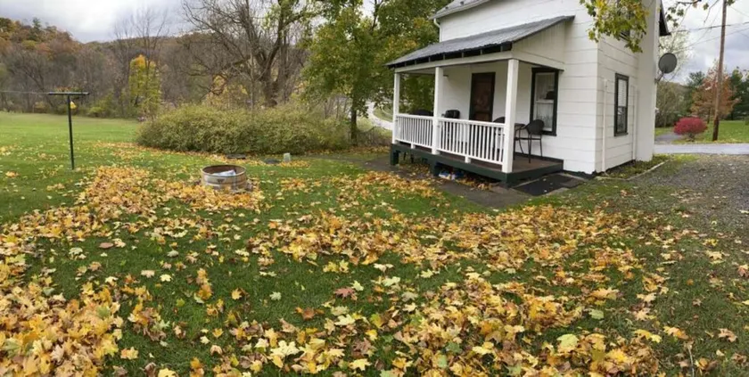 Sportsman Cottage - Raystown Lake Vacation Rentals, Aunt Susie's - Image 1