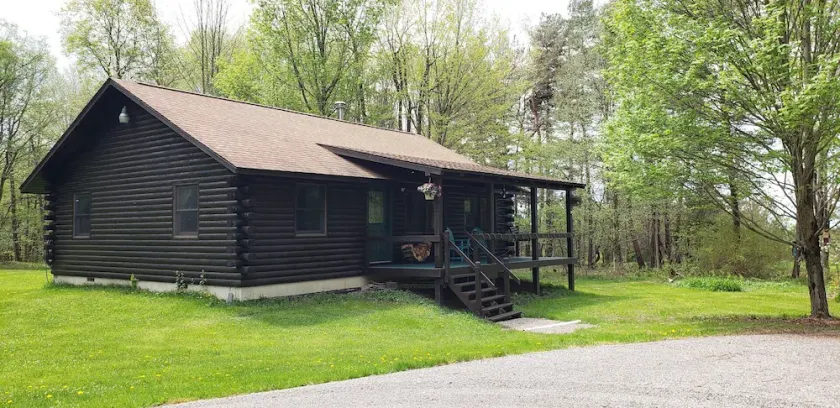 Enjoy the outdoors in this cozy Log Home on top of hill - Image 1