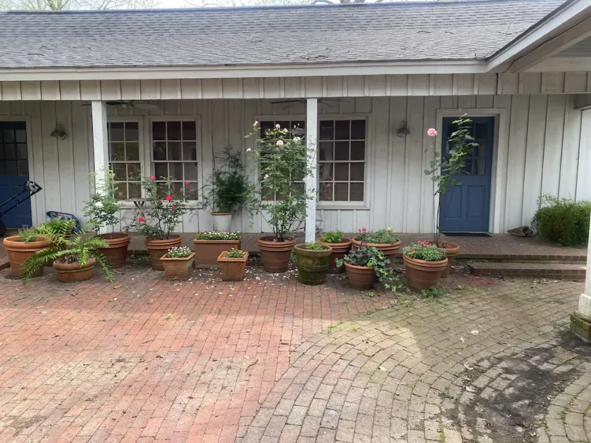 Spacious Carriage House with garden patio - Image 1