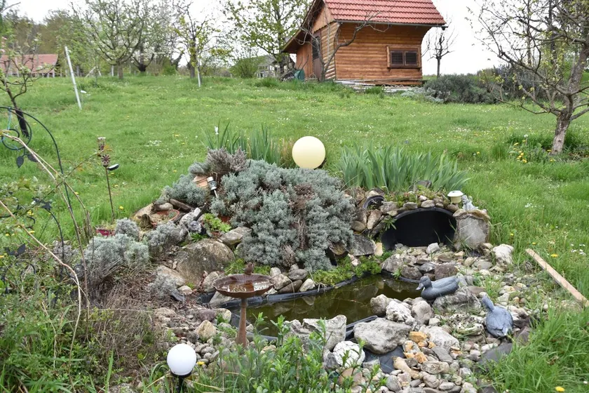 Apartma Silvia - Image 1