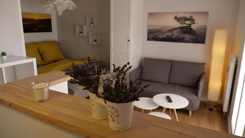 Fantastic apartment in a prime location near Dresden at the gateway to Saxon Switzerland - Image 1