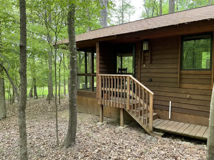 Cabin amongst the trees - Image 1