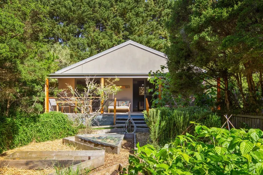 Frog Cottage Ventnor - Image 1
