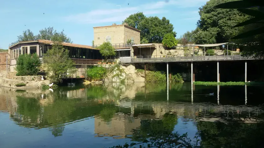 La Remessuola - Torre sul lago - Image 1