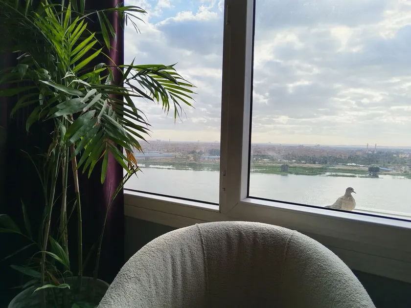 Nile & Pyramid View – Magical Sunrises, Historic Wonders - Image 1