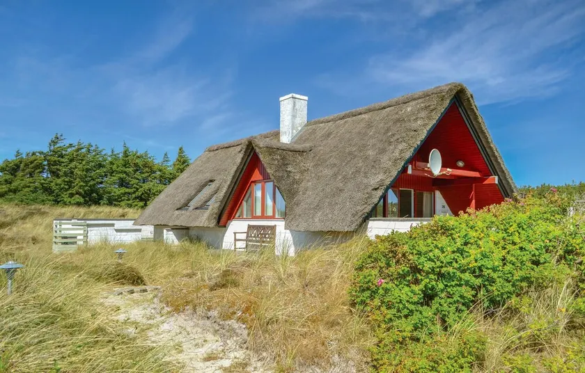 Kæledyrsvenligt hjem i Hvide Sande med WiFi - Image 1