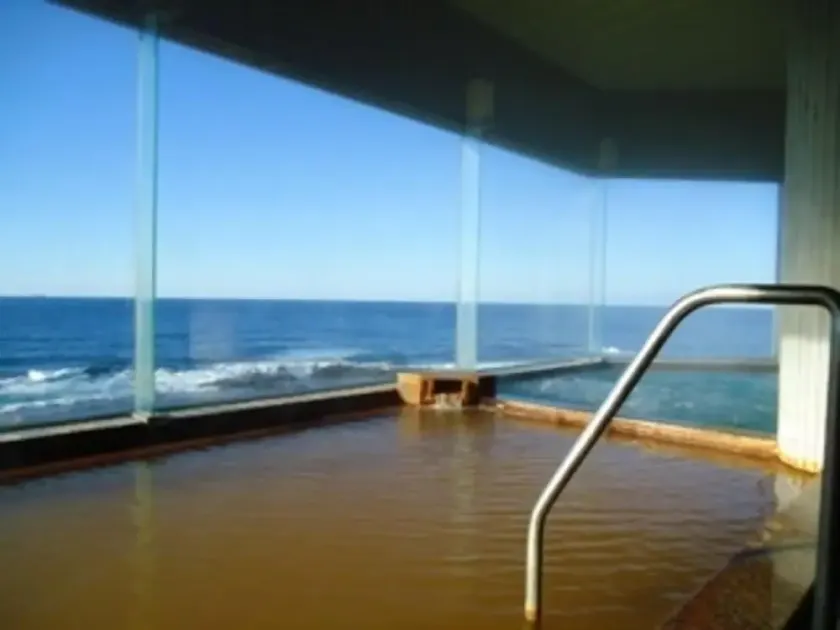 Koganezaki Furofushi Onsen - Image 1