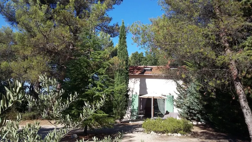 Kleines Einfamilienhaus auf bewaldetem Grundstück mit Pool - Image 1