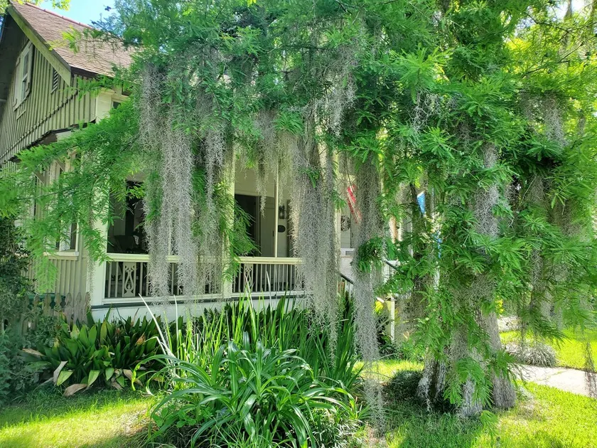 Old Mandeville guesthouse with New Orleans style courtyard 1 block from Lake. - Image 1