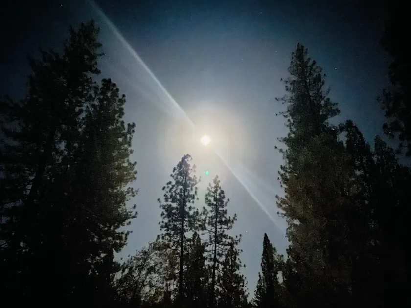 Mondstrahl - Geräumiger Rückzugsort in PML nahe Yosemite + Kajaks + Notstromversorgung - Image 1