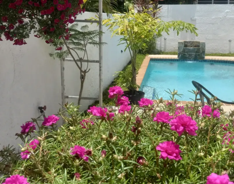 San Juan, Garden suite w/private POOL, outdoor kitchen/BBQ & peaceful - Image 1