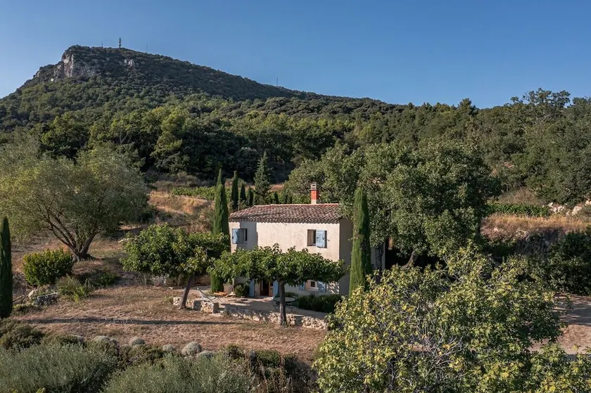 Maison de charme, vue exceptionnelle au milieu des vignes, calme absolu - Image 1