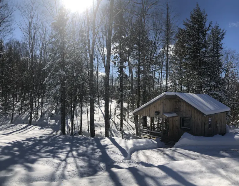 Brookside cabin on Budding Homestead - Image 1
