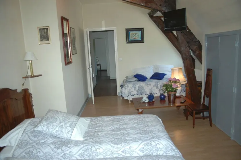 The Hydrangeas suite - quality services (in the countryside in Lourdes) - Image 1