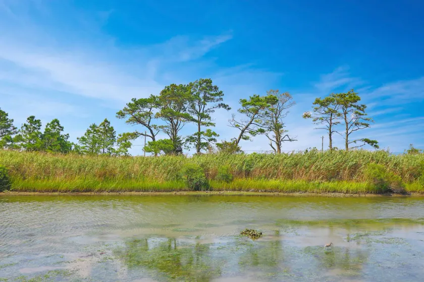 Marsh Point | Marsh Views + Shared Dock, Screened Porch Dining, Cozy Island Townhome - Image 1