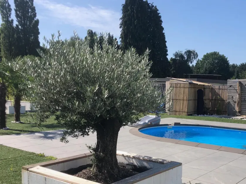 Villa Lumina Royale with swimming pool - Image 1