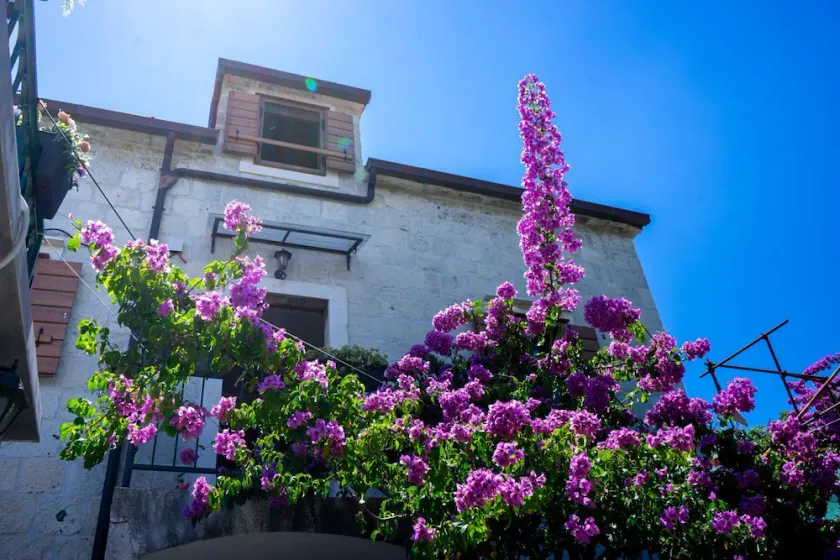 Raffinato dalla natura, Villa Marino Trogir - Image 1