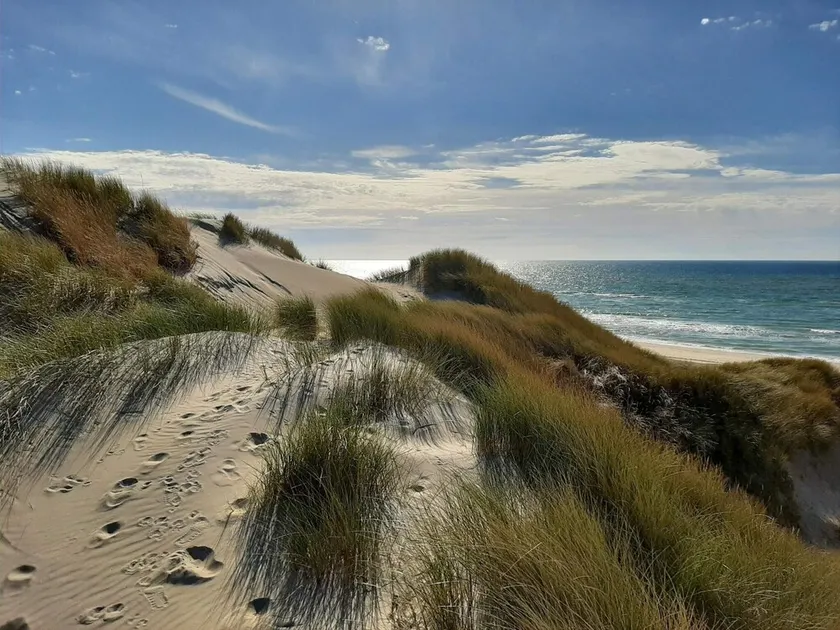 6 Person Holiday Home in Hirtshals - Image 1