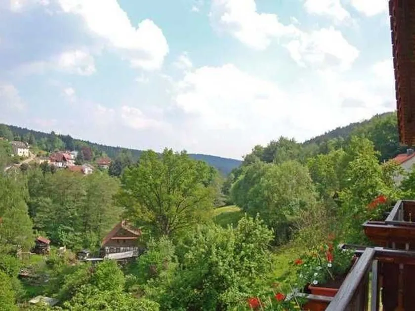 Double Room with Balcony 2 - Gasthaus Zum Pälterwald - Image 1