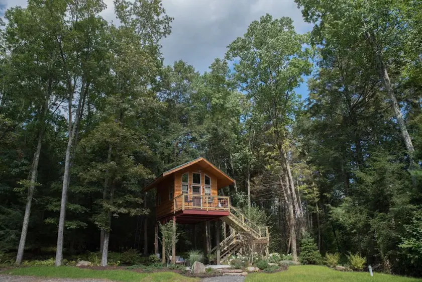 Owl's Nest  - Treehouse -2mi. from falls trailhead - Image 1