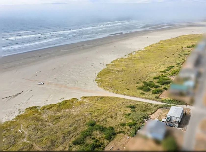 Sea Star Studio - Ocean View - Steps to the Beach,  Dog Friendly - Image 1