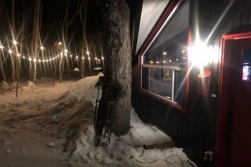 Hidden Gem! Swiss Cottage Ski Chalet - Image 1
