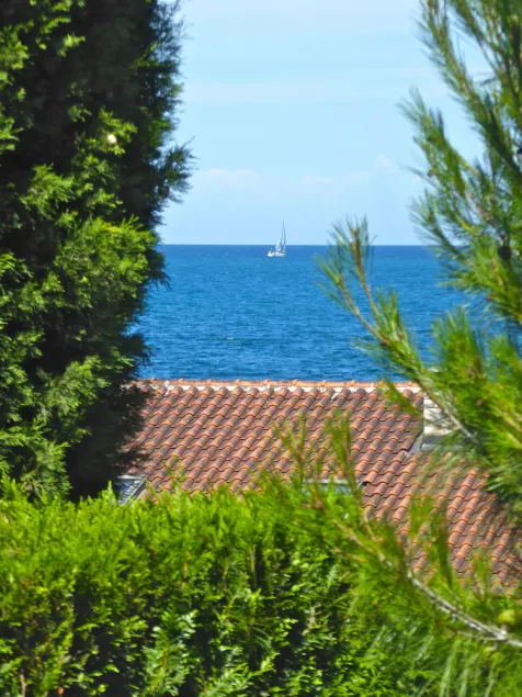 Pet-friendly vacation home right by the sea -up to 15% discount for early bookers - Image 1