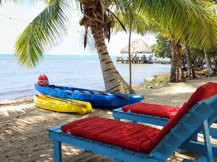 Beachfront surrounded by lush natural jungle. Snorkle from shore manatee watch - Image 1