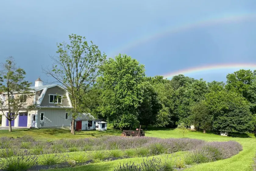 La Soledad Lavender Farm and Guesthouse - Image 1