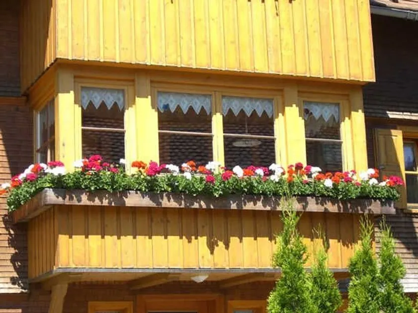 Urlaub bei Moses - Image 1