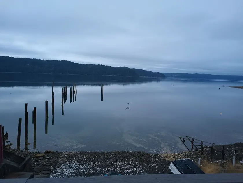 Waterfront beach house 3 minute walk to town. - Image 1